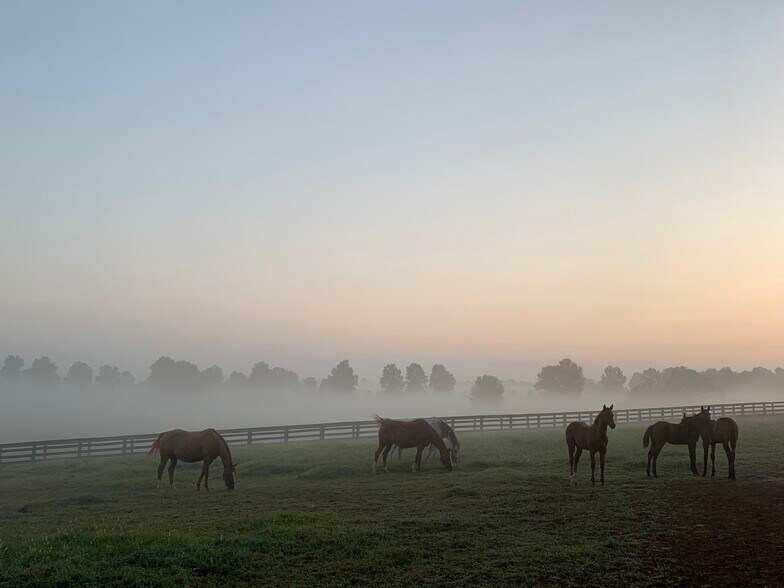 Building Photo - 2900 Newtown Pike