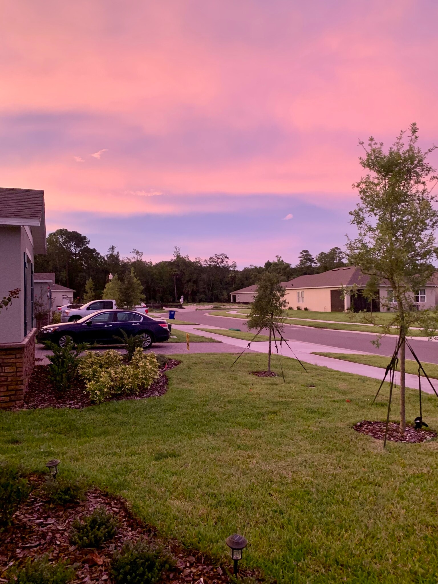 Front of house looking out - 1620 Delphi Way