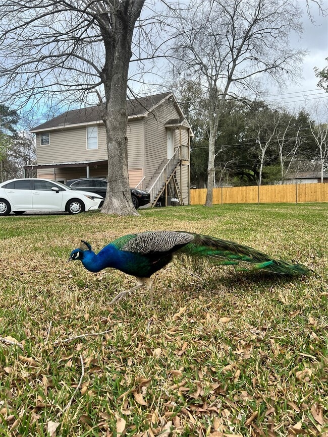 Building Photo - 7357-7352 Brace St