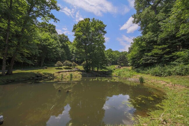 Building Photo - 195 Black Bear Dr