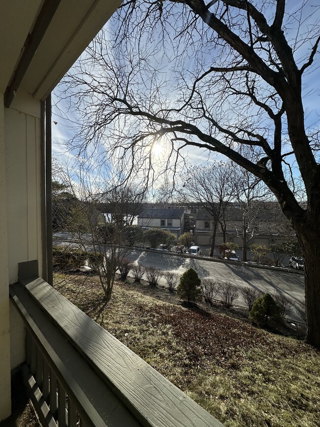 Building Photo - 1471 Cliff Ct