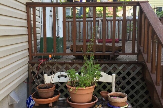 Deck Plants - 411 N Monroe St