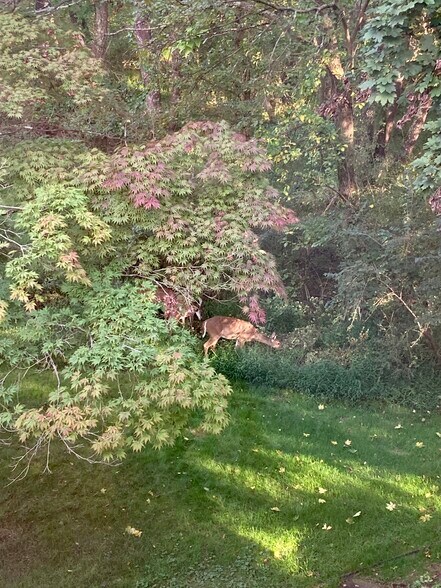 nature! - 500 Meadow Hall Dr