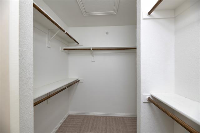 Building Photo - 831 Summercreek Dr