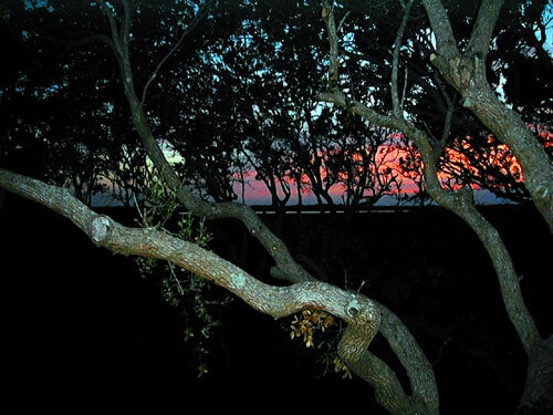 Sunset view of intercoastal water (dusk) - 3145 Coastal Hwy