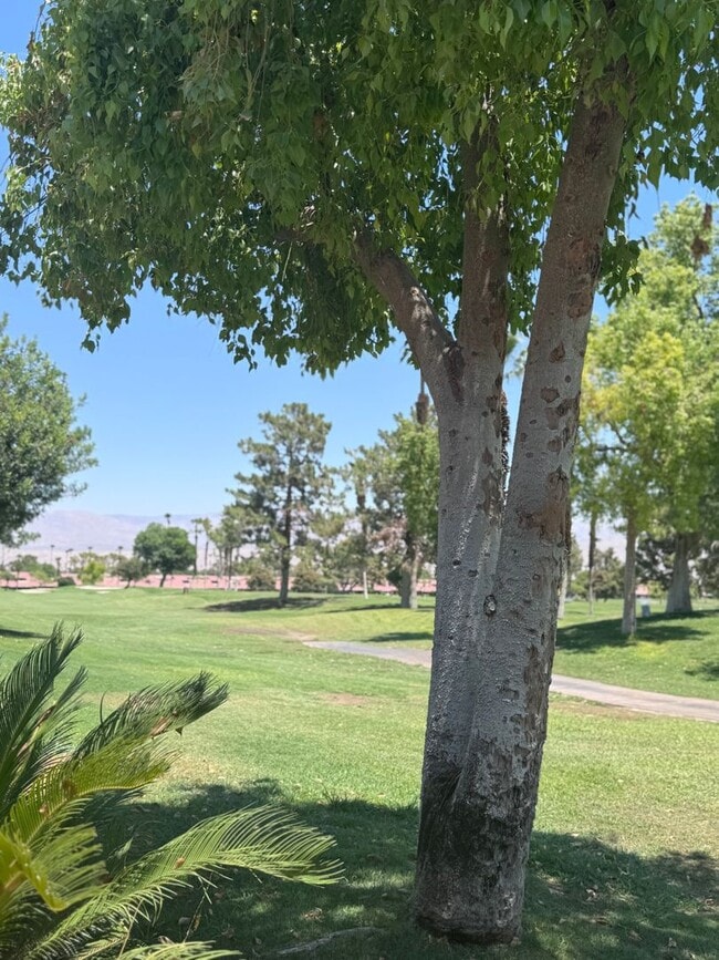 Building Photo - Woodhaven CC - Unfurnished 3br - Long Term