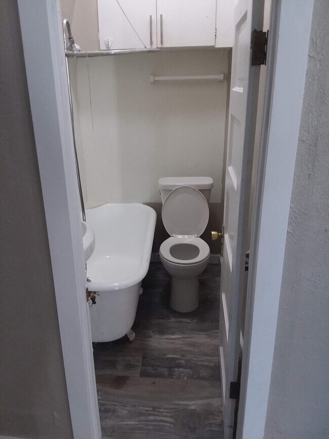 Building Photo - Cap Hil Adorable 1 Bedroom Available Now!