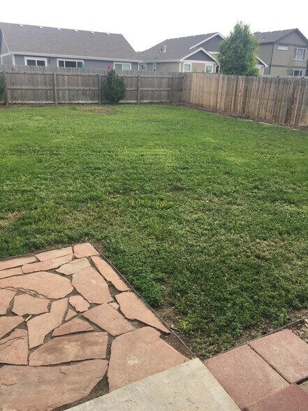 Back yard - 809 Scotch Pine Dr