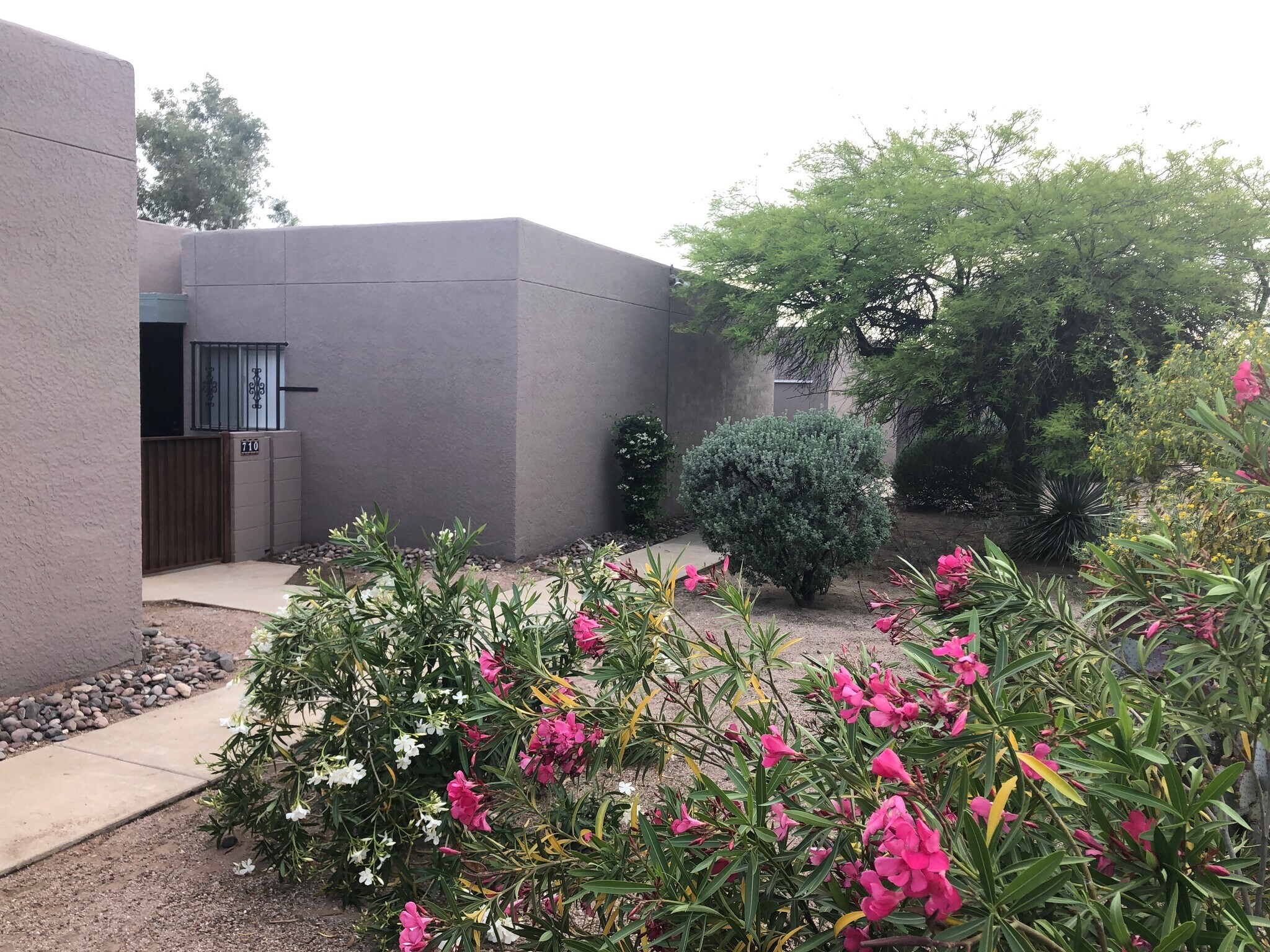 Property grounds - 706 E Linden St