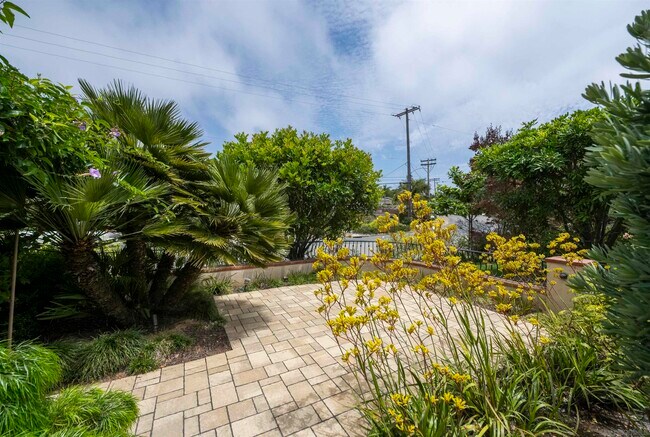 Building Photo - 1679 Buena Vista Way