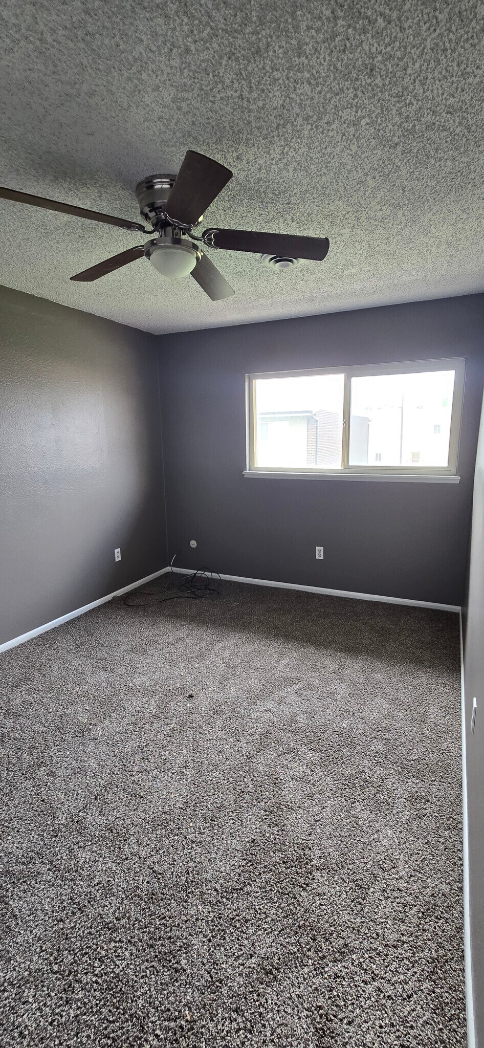 Building Photo - 8047 Wolff St