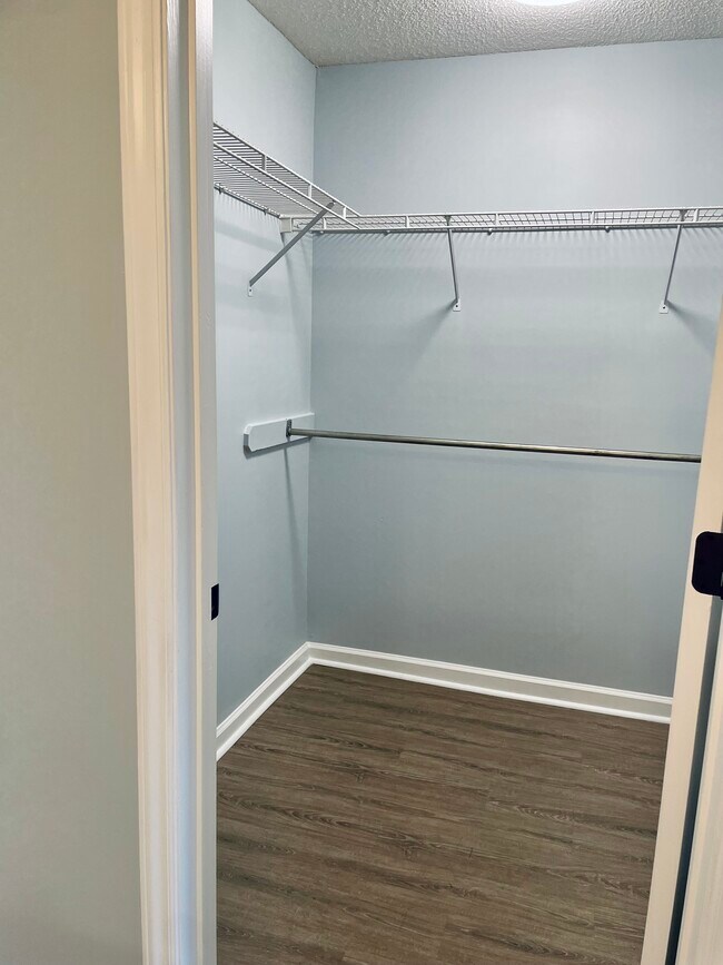 Building Photo - 1231 Ladys Island Dr