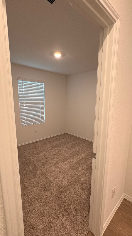 Building Photo - 316 Constanza Trl