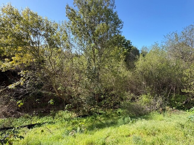 Building Photo - 1413 Shoshone St