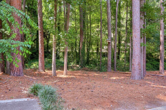 Building Photo - 4 bedroom 3 full bathroom home in heart of...