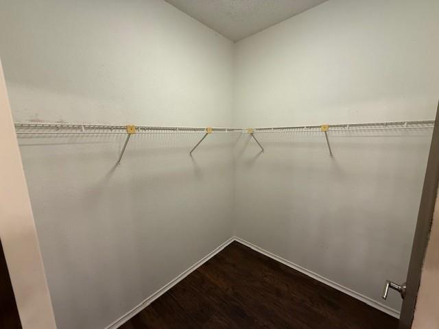 Building Photo - 16401 Knottingham Dr