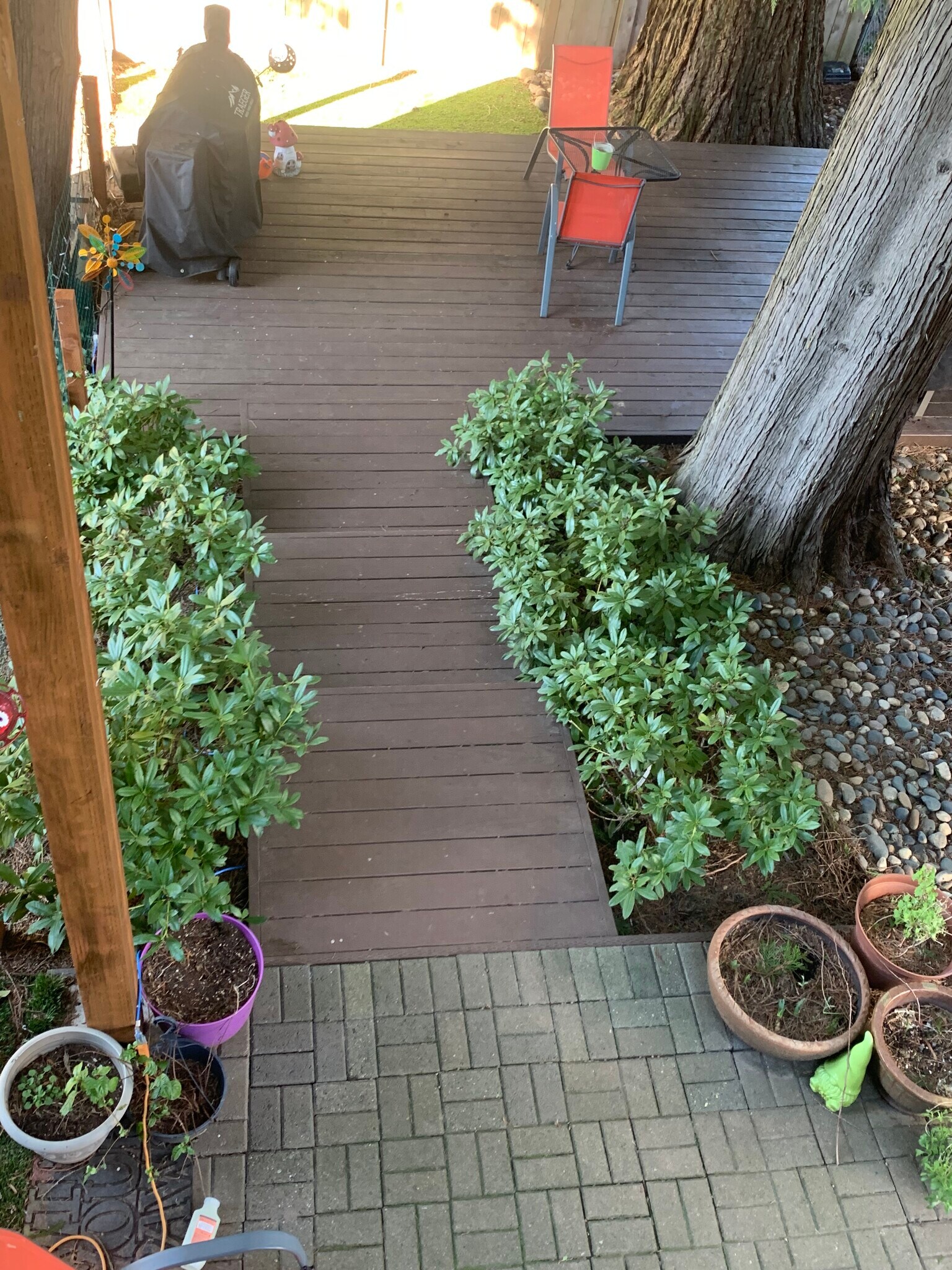 Building Photo - 6675 Canterbury Dr