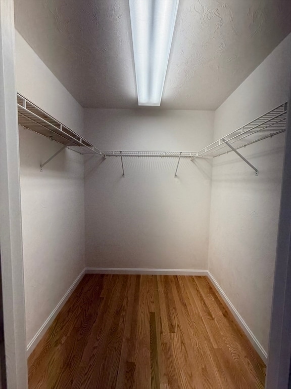 Building Photo - 25 Wren Terrace