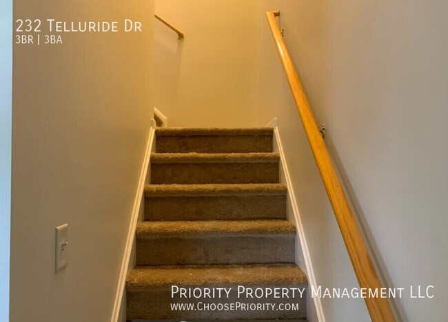 Building Photo - 232 Telluride Drive