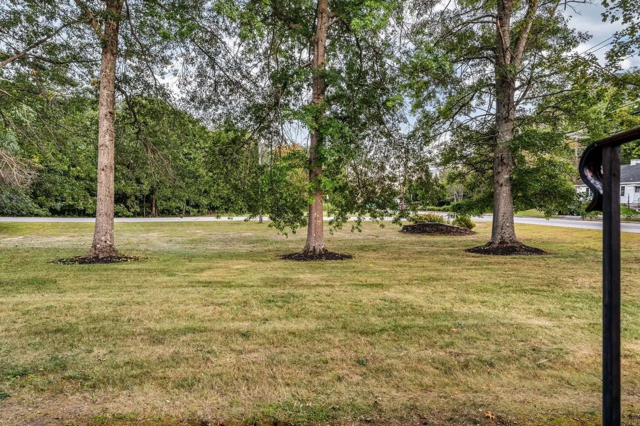 Back yard - 375 Bridgton Rd