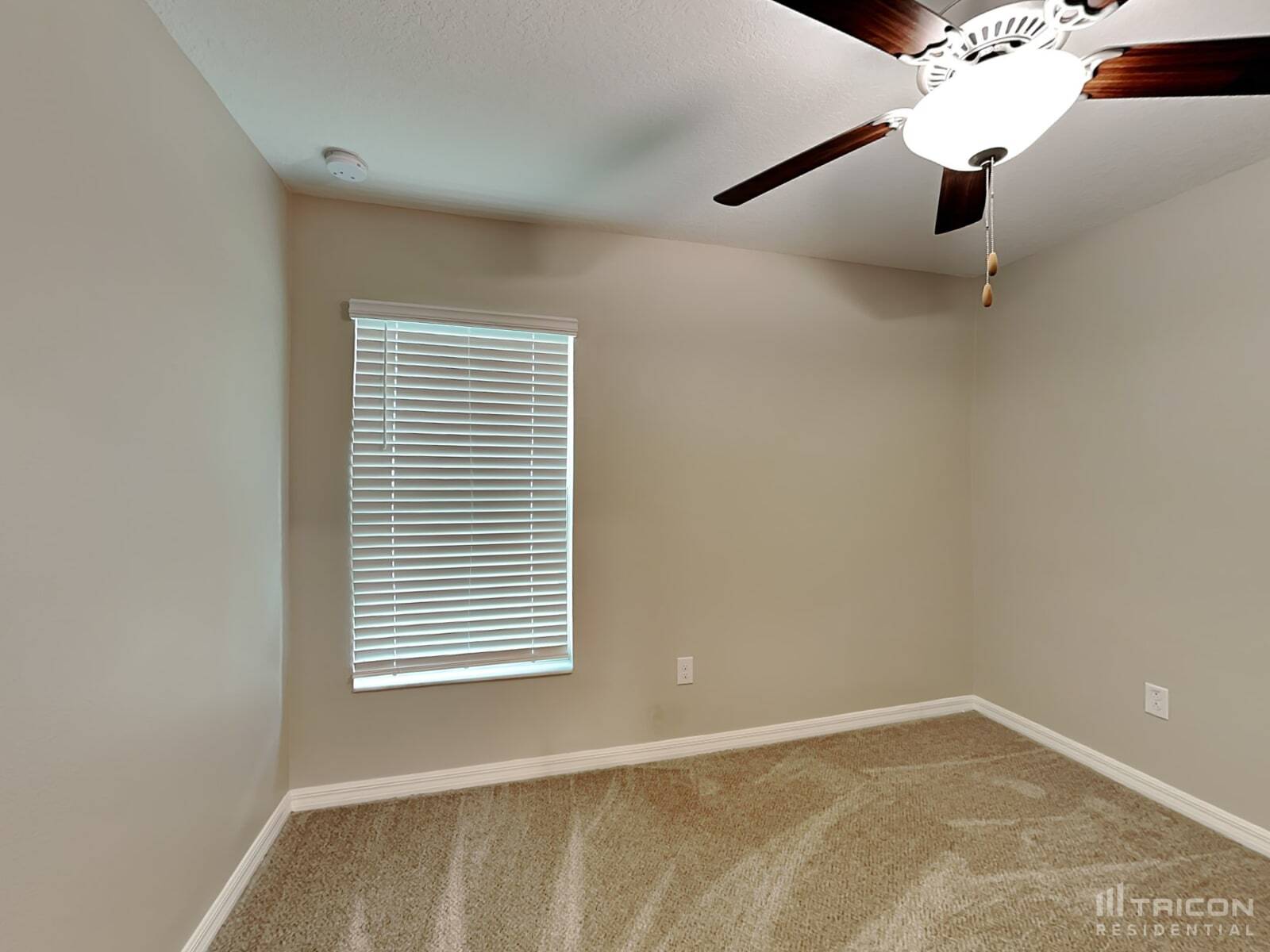 Building Photo - 5206 White Chicory Dr