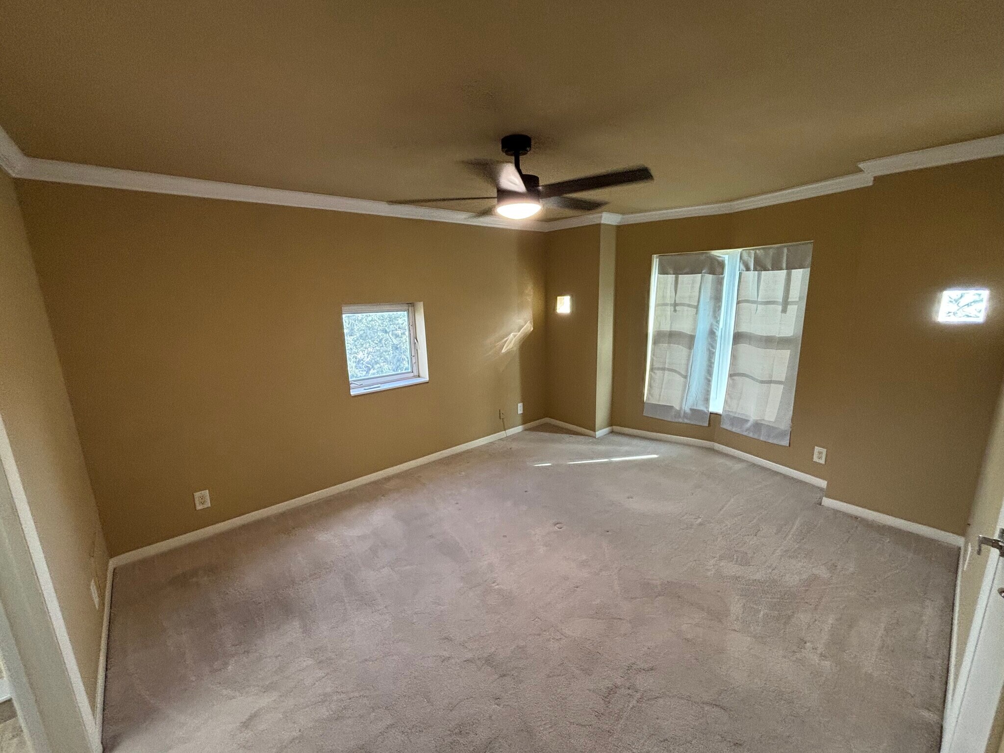 Building Photo - 4950 Bayshore Blvd