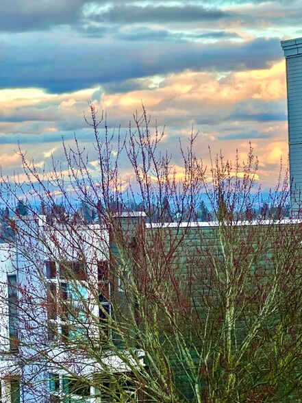 Building Photo - 2330 Yakima Ct