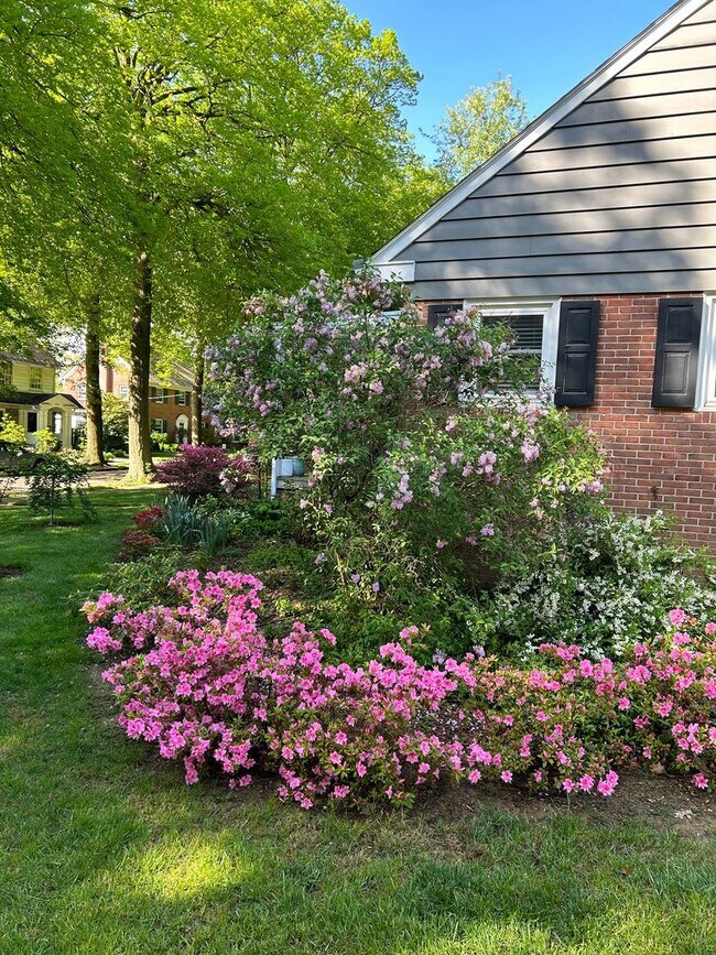 Building Photo - Wyomissing Schools Rental