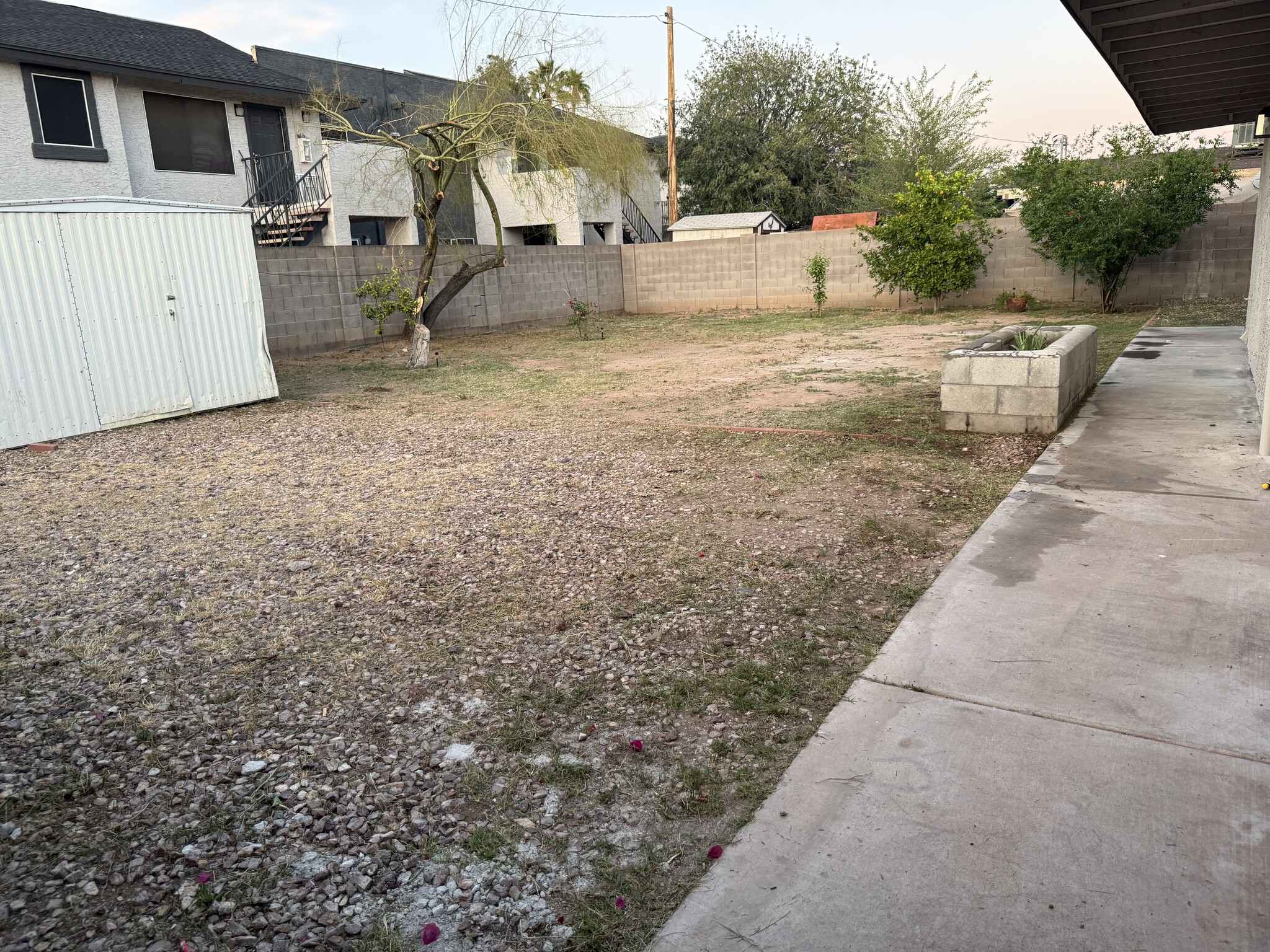 Backyard - 402 E 1st St