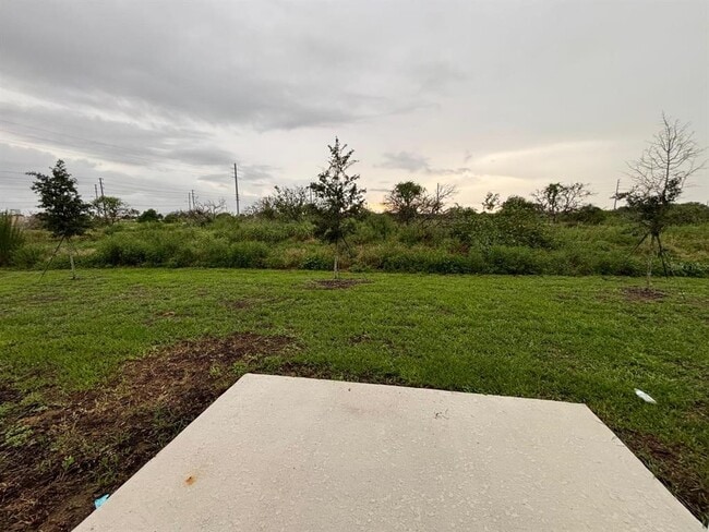 Building Photo - 177 Mandovi St