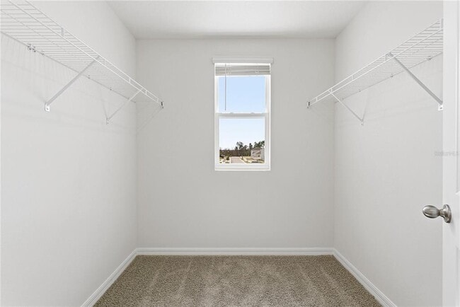 Building Photo - 564 Preston Cv Dr