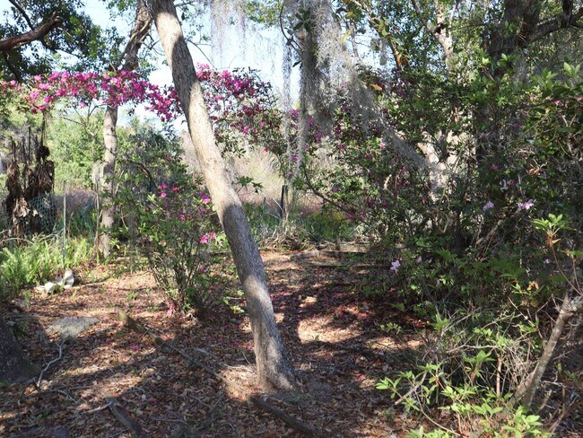 Building Photo - Beautiful Brick Home in Crystal Lakes Estate Call Carole Arcaro 386-216-4900 Deltona Lakes Realty