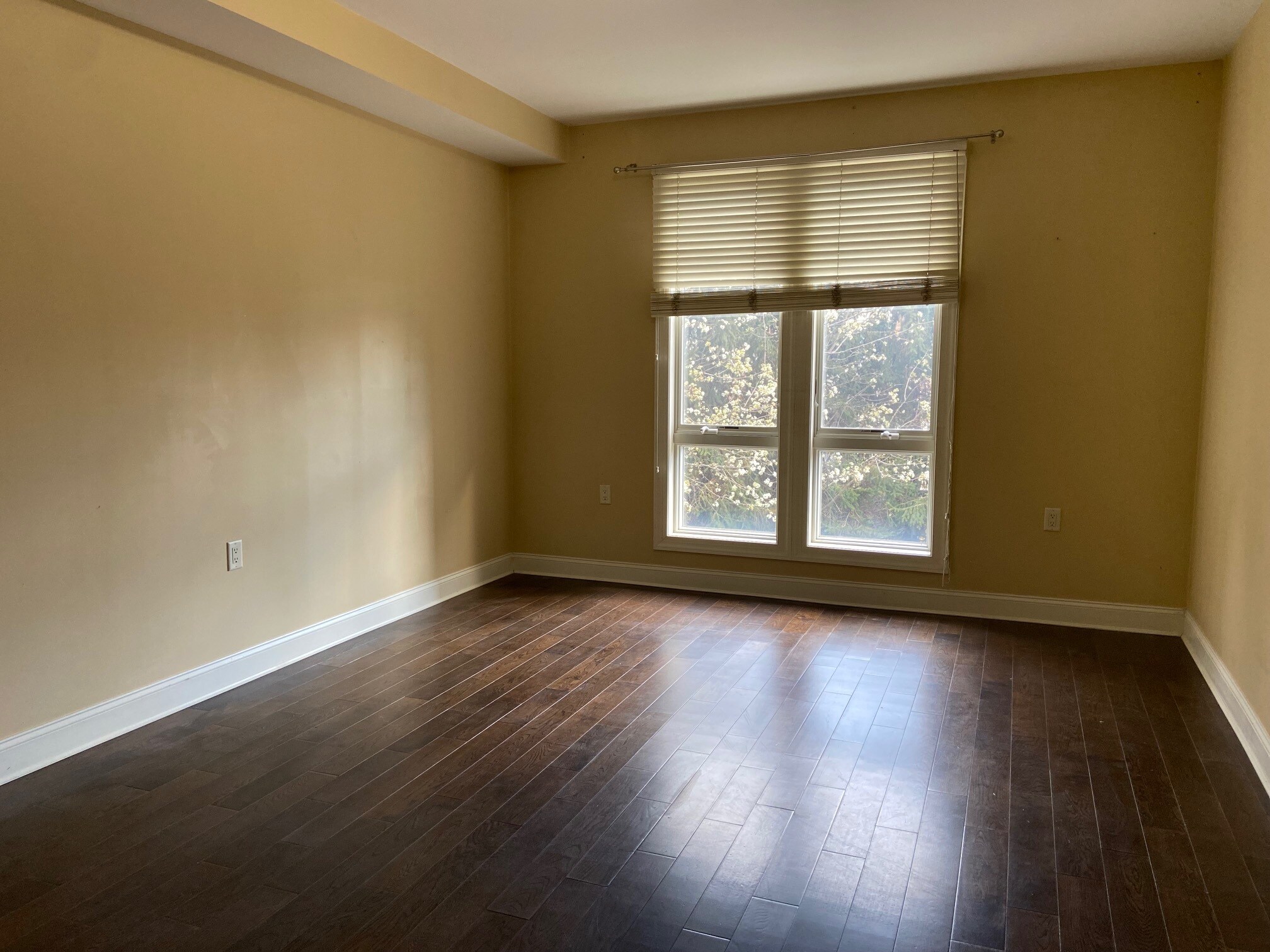Building Photo - 255 Laird Ave