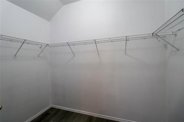 Building Photo - 3009 Sugarberry Dr