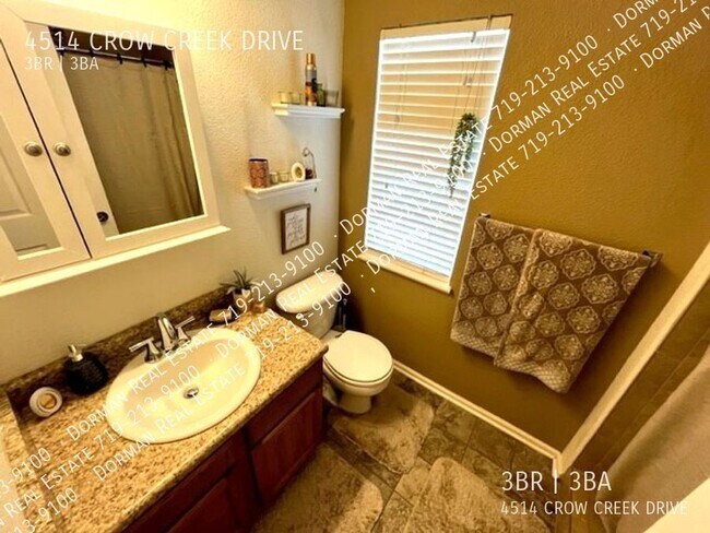 Building Photo - 4514 Crow Creek Dr