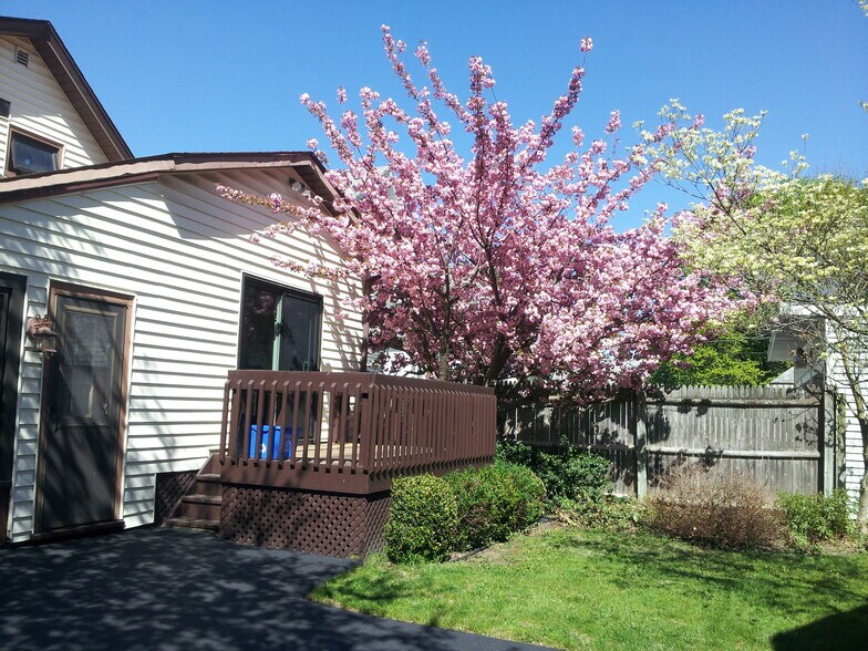 Deck - 69 Cypress St