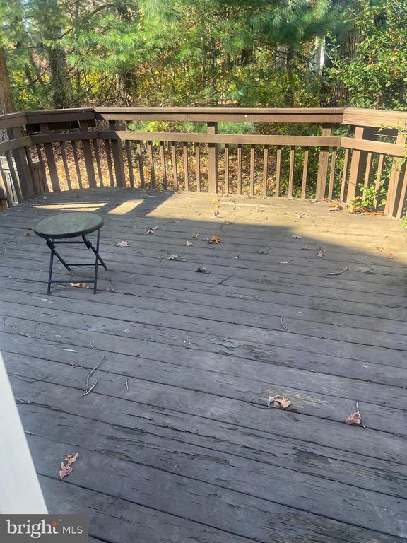 Building Photo - 210 High Timber Ct