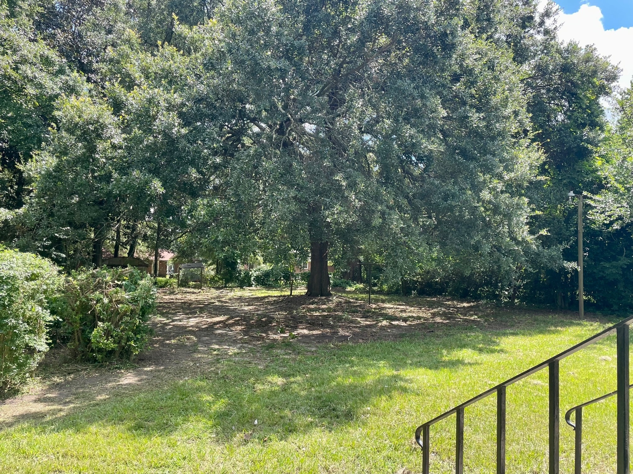 Back Yard - 2665 Orchid Ave