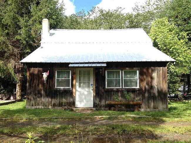 Building Photo - Cozy 3-Bedroom Home with Private Yard in Livingston Manor for November 1st!
