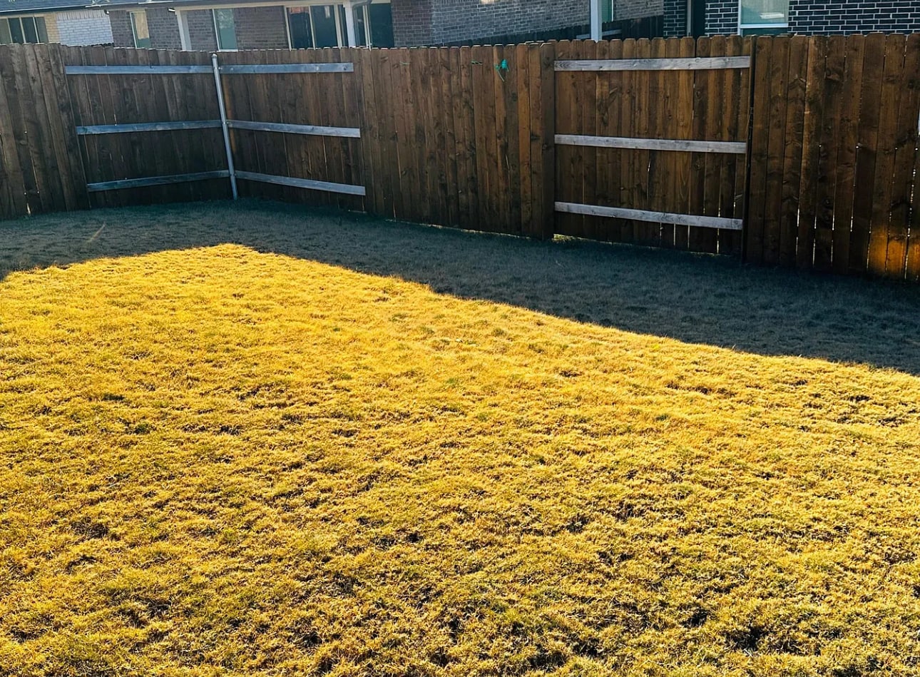 Building Photo - 2332 Bravo Pass