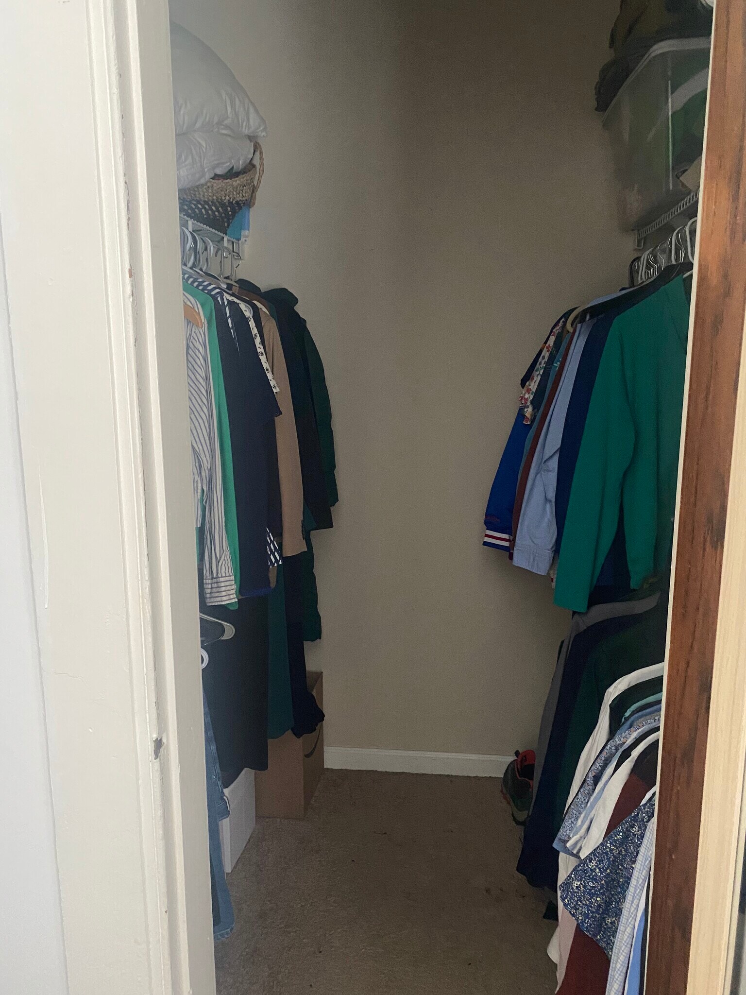 Second Bedroom Closet - 616 Whalley Ave