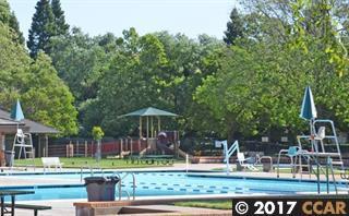 nearby community pool - 133 Lawnview Cir