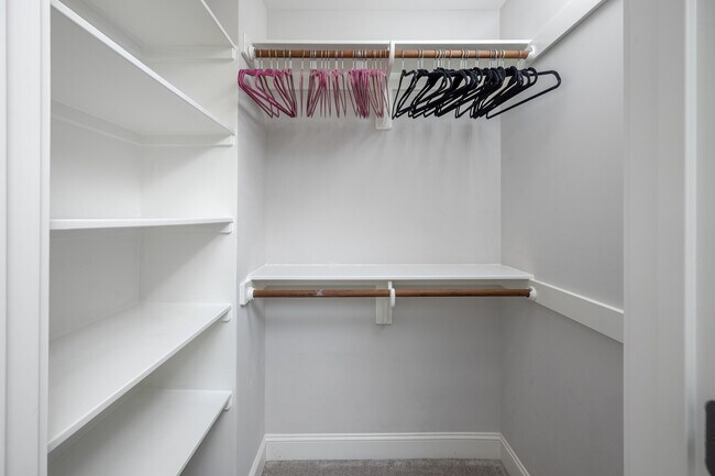 Building Photo - 303 Spruce St