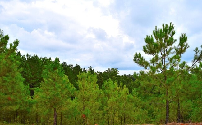 Building Photo - Home Available for Rent in Margaret, AL... View with 48 Hours Notice!