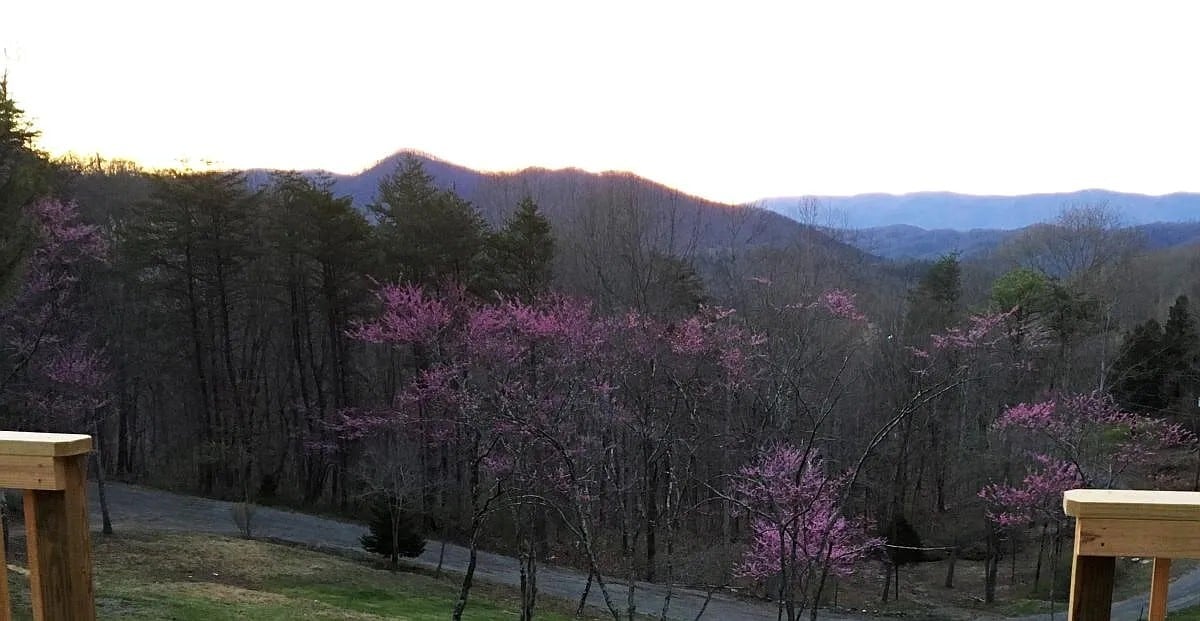 View from door in April - 983 Brattle Ln