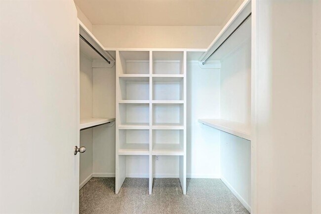 Building Photo - 3505 Charlotte Rose Drive