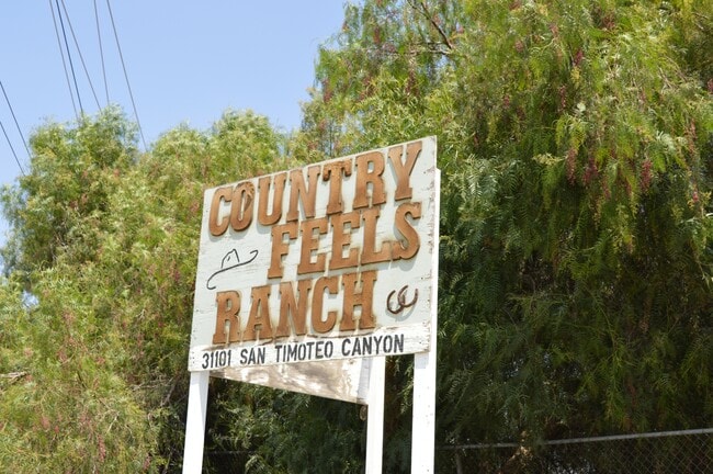 Building Photo - 31101 San Timoteo Canyon Rd