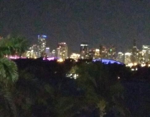 Skyline view from balcony - 800 West Ave
