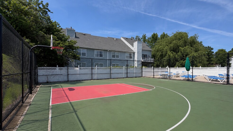 BASKETBALL COURT - 1010 Squirrel Rd
