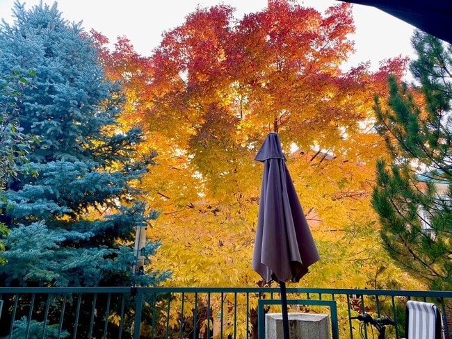 Building Photo - Fresh 2 bedroom, 2 bathroom condo located in Meadows on the Parkway in the heart of Boulder.